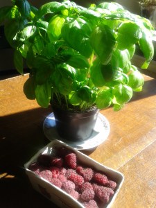 raspberries and basil.jpg